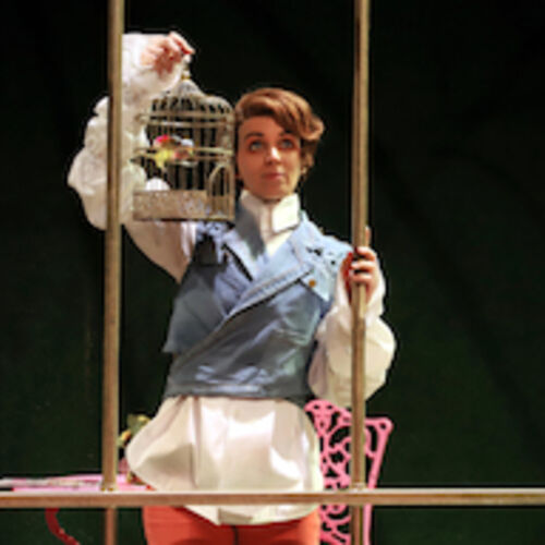 der-barbier-von-sevilla