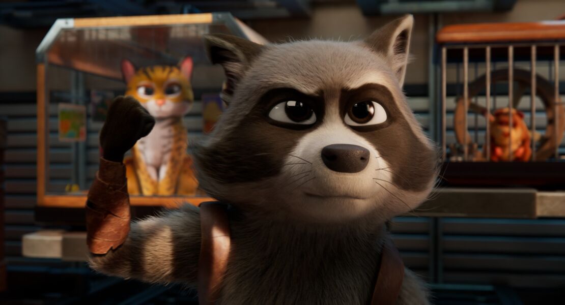 tierisch-abgefahren-rettet-die-pets