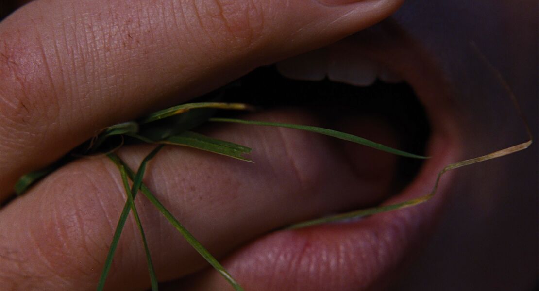 wuthering-heights-sturmhohe