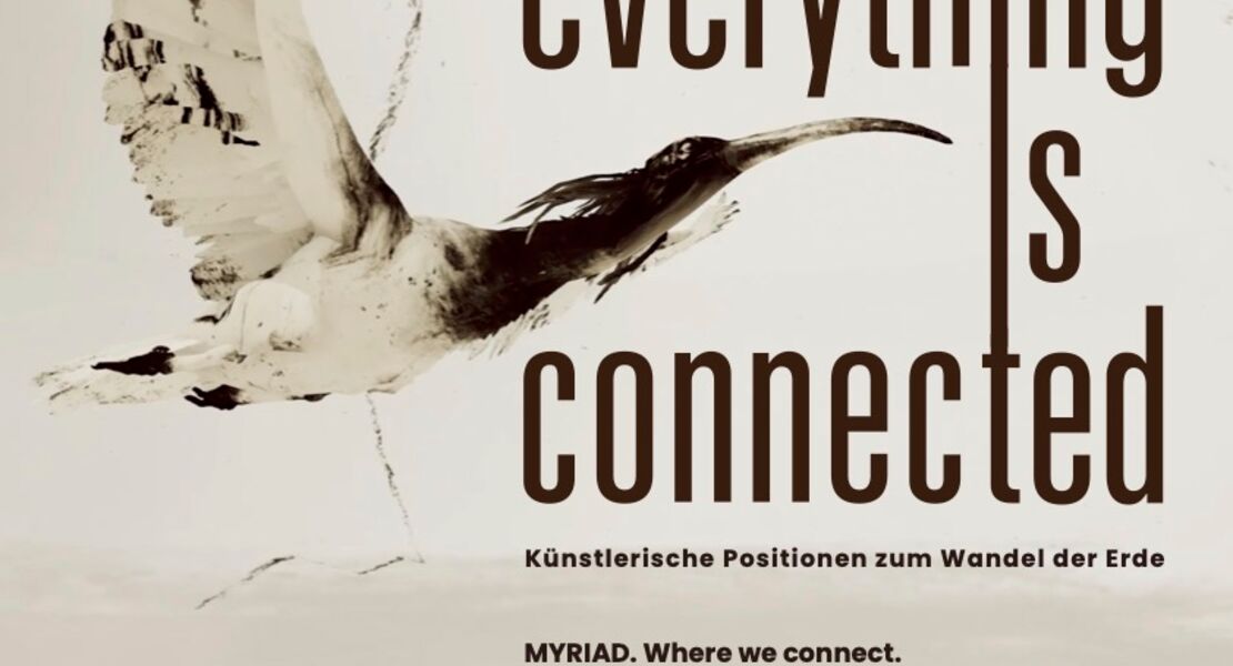 everything-is-connected-kunstlerische-positionen-zum-wandel-der-erde