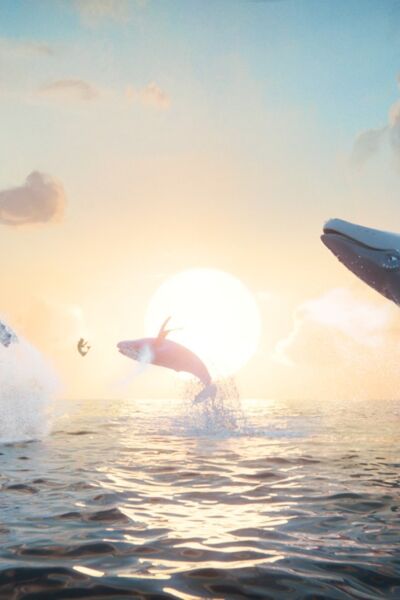 der-letzte-walsanger