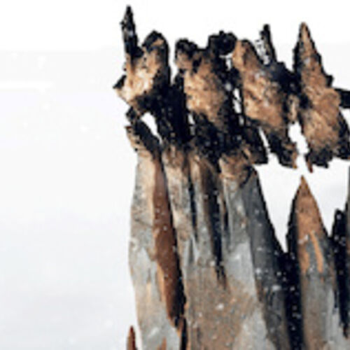 tous-sur-la-banquise-premiere