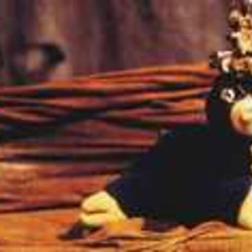 vom-kleinen-maulwurf-der-wissen-wollte-wer-ihm-auf-den-kopf-gemacht-hat