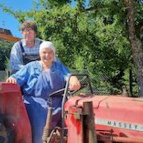 hillus-herzdropfa-achde-albler