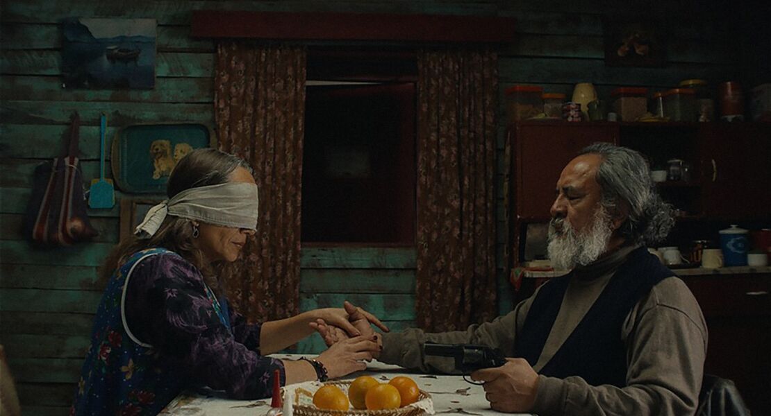 der-geheimnisvolle-blick-des-flamingos