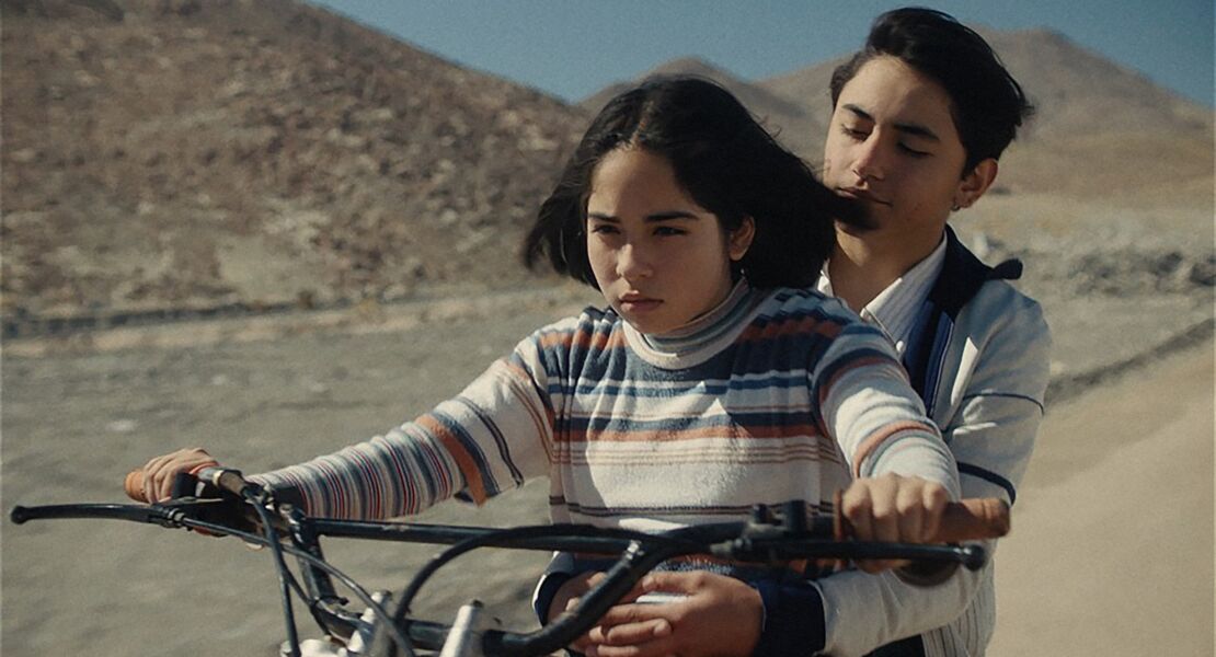 der-geheimnisvolle-blick-des-flamingos