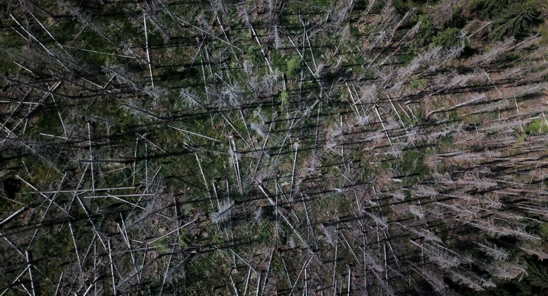 das-gewicht-der-welt