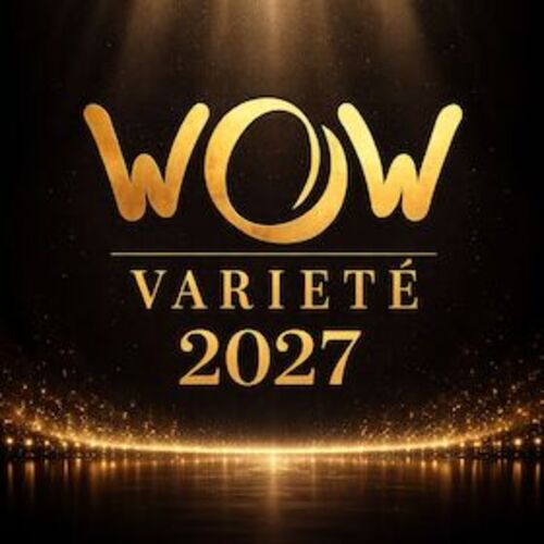 wow-variete-akrobatikshow-mit-musik-und-tanz