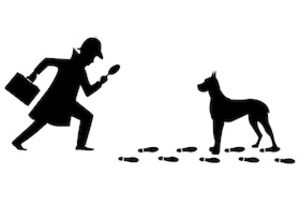 Baskerville - Ein Sherlock-Holmes-Krimi von Ken Ludwig | 50% zahlen - 100% sehen