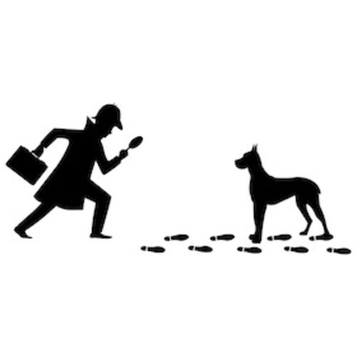 baskerville-ein-sherlock-holmes-krimi-von-ken-ludwig-50-zahlen-100-sehen