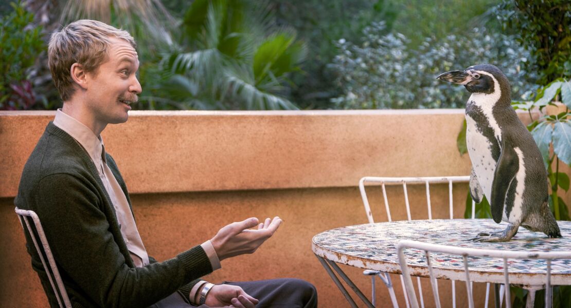 der-pinguin-meines-lebens