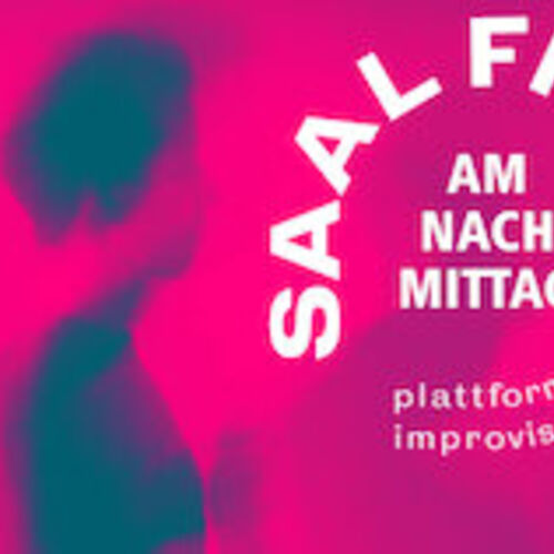 saalfrei-am-nachmittag