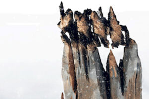 Tous sur la banquise